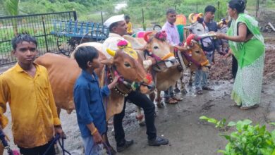 Photo of किनगाव जट्टू येथे बैलपोळा उत्साहात साजरा